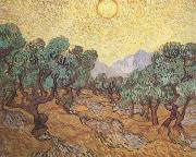 Vincent Van Gogh Olive Trees with Yellow Sky and Sun (nn04) oil painting on canvas